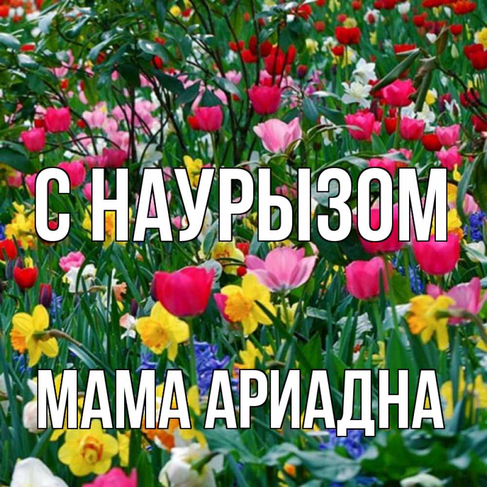 Открытка на каждый день с именем, Мама-Ариадна С наурызом с наурызом праздником весны поздравления для женщины Прикольная открытка с пожеланием онлайн скачать бесплатно 