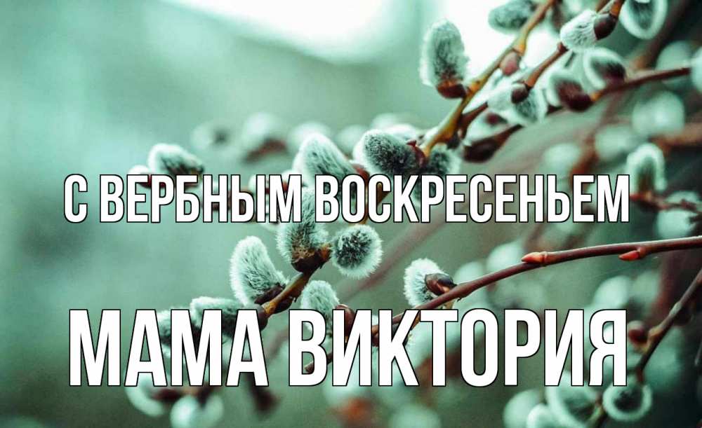 Открытка на каждый день с именем, Мама-Виктория С вербным воскресеньем верба Прикольная открытка с пожеланием онлайн скачать бесплатно 