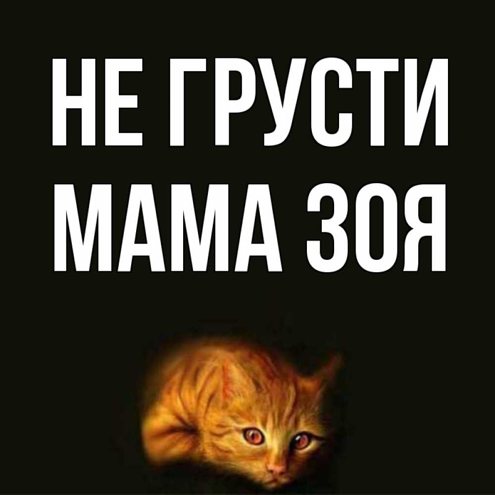 Открытка на каждый день с именем, Мама-Зоя Не грусти лежащий кот в темноте Прикольная открытка с пожеланием онлайн скачать бесплатно 