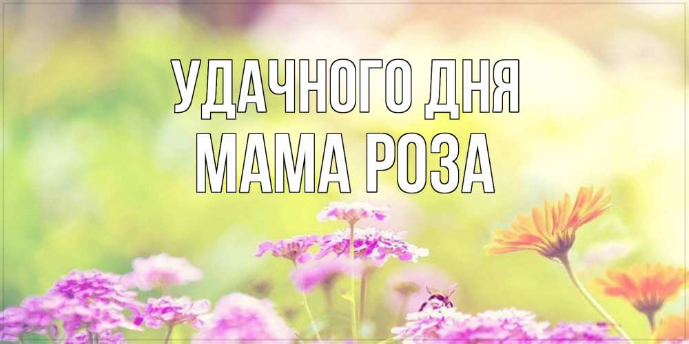 Открытка на каждый день с именем, Мама-Роза Удачного дня красивая открытка с летней темой Прикольная открытка с пожеланием онлайн скачать бесплатно 
