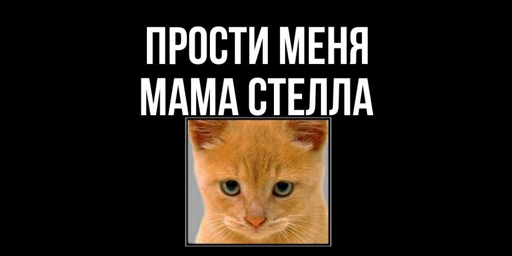 Открытка на каждый день с именем, Мама-Стелла Прости меня рыжий грустный кот просит прощения Прикольная открытка с пожеланием онлайн скачать бесплатно 