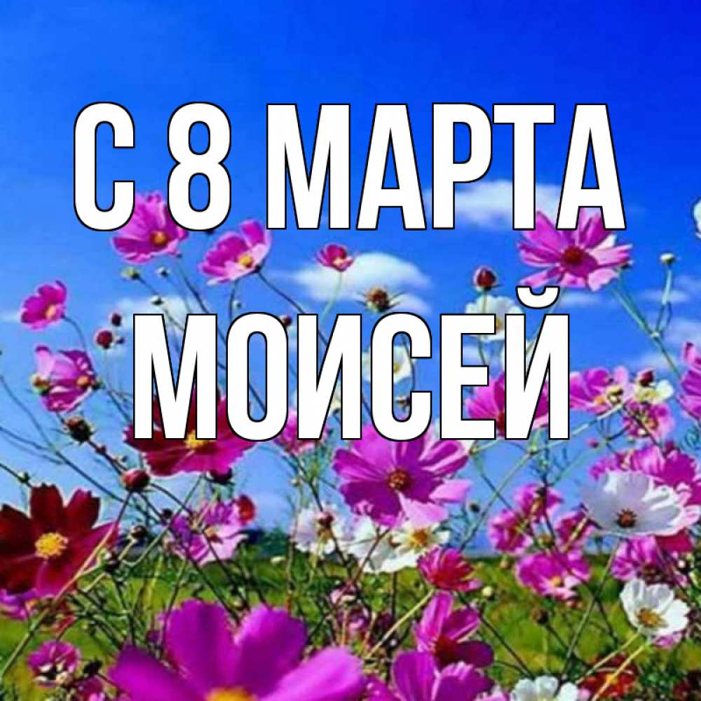 Картинка С 8 марта, Моисей