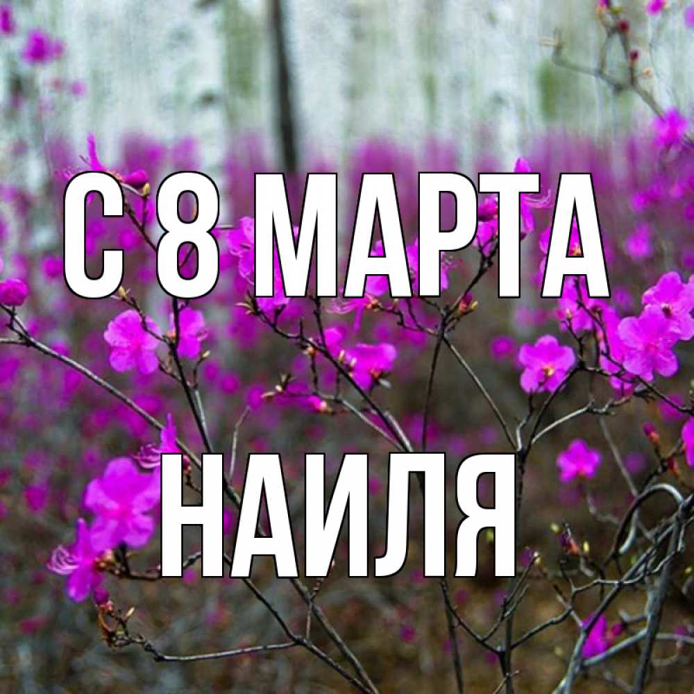 Открытка на каждый день с именем, Наиля С 8 МАРТА дикие цветы Прикольная открытка с пожеланием онлайн скачать бесплатно 