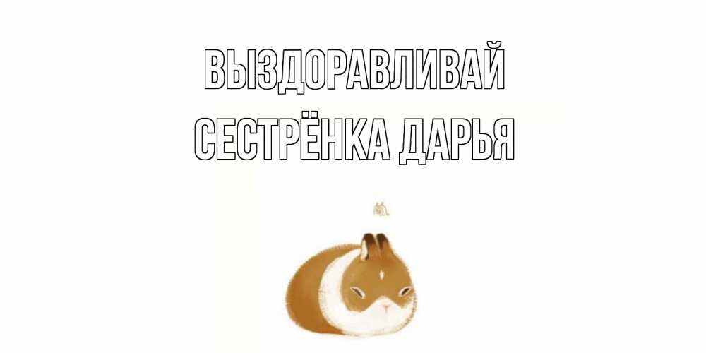 Открытка на каждый день с именем, Сестрёнка-Дарья Выздоравливай морская свинка на открытке с пожеланиями не болеть Прикольная открытка с пожеланием онлайн скачать бесплатно 