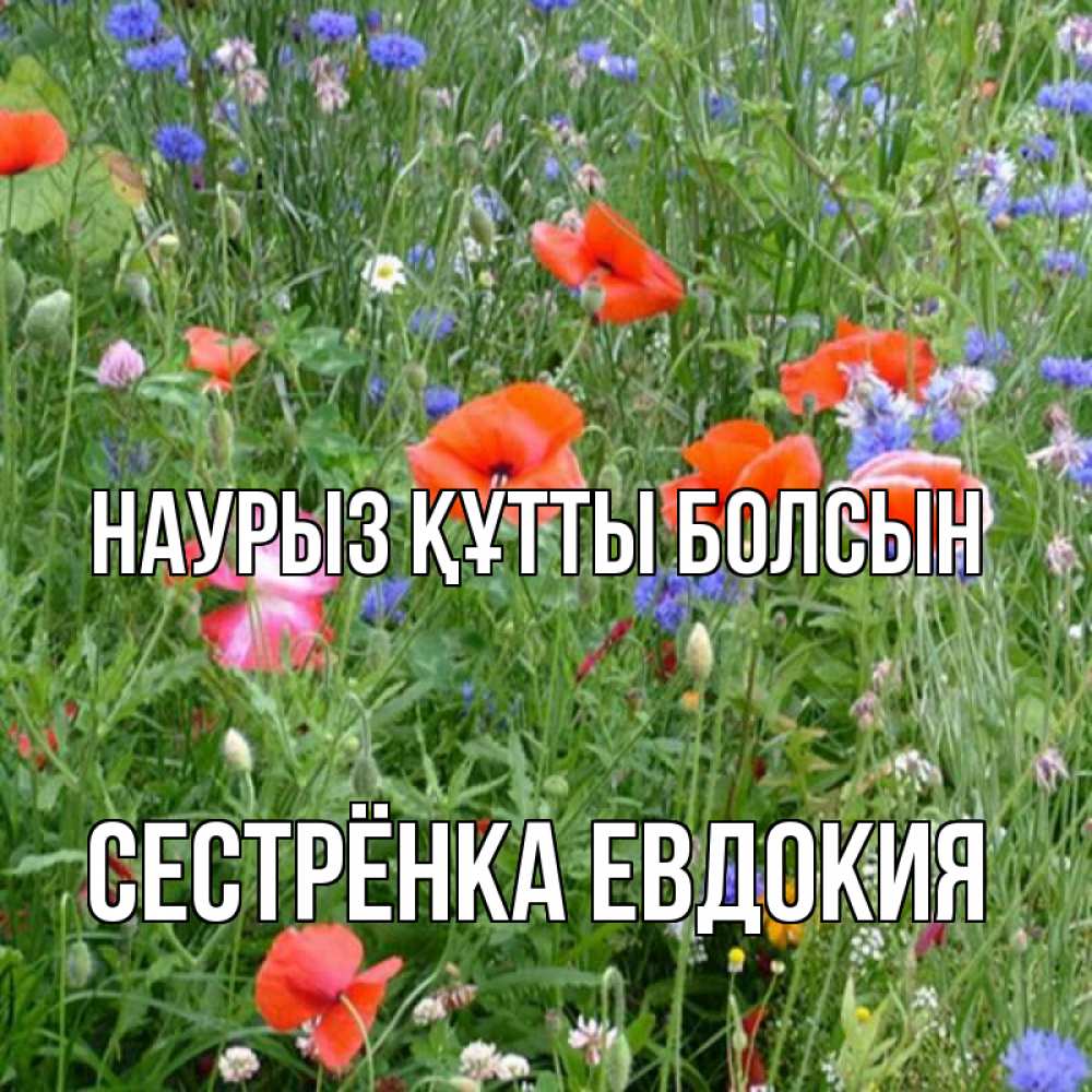 Открытка на каждый день с именем, Сестрёнка-Евдокия Наурыз құтты болсын наурыз  4 Прикольная открытка с пожеланием онлайн скачать бесплатно 