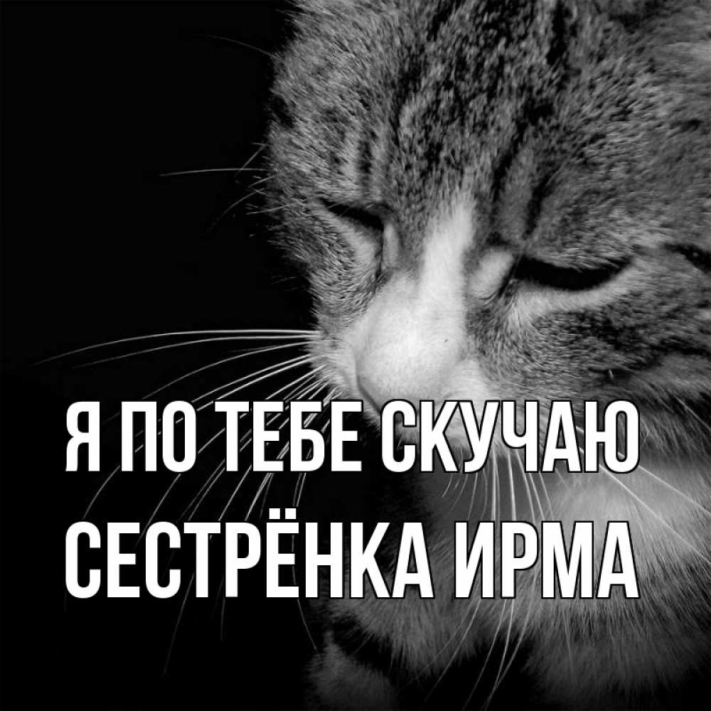 Открытка на каждый день с именем, Сестрёнка-Ирма Я по тебе скучаю мне скучно Прикольная открытка с пожеланием онлайн скачать бесплатно 