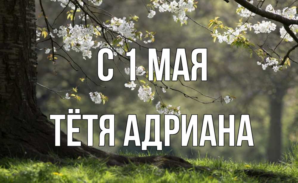 Открытка на каждый день с именем, Тётя-Адриана С 1 мая С 1 мая Прикольная открытка с пожеланием онлайн скачать бесплатно 