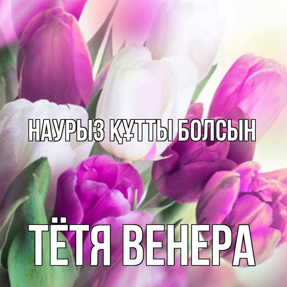 Открытка на каждый день с именем, Тётя-Венера Наурыз құтты болсын весна 1 Прикольная открытка с пожеланием онлайн скачать бесплатно 