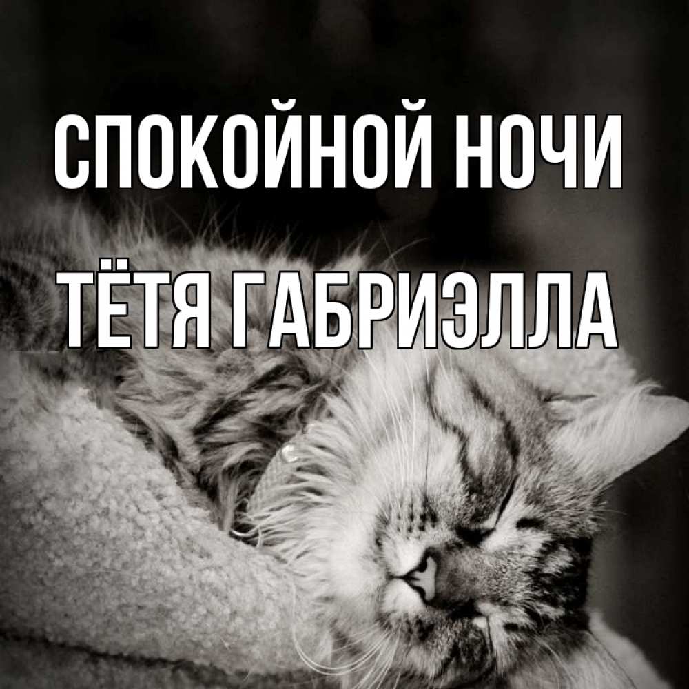 Открытка на каждый день с именем, Тётя-Габриэлла Спокойной ночи котярик пушистый Прикольная открытка с пожеланием онлайн скачать бесплатно 