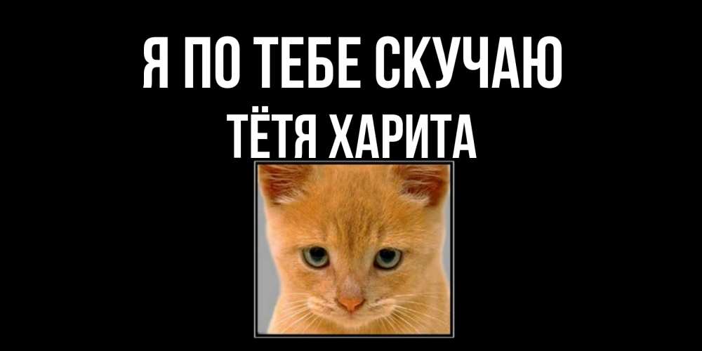 Открытка на каждый день с именем, Тётя-Харита Я по тебе скучаю открытки рыжий котенок скучает по тебе Прикольная открытка с пожеланием онлайн скачать бесплатно 