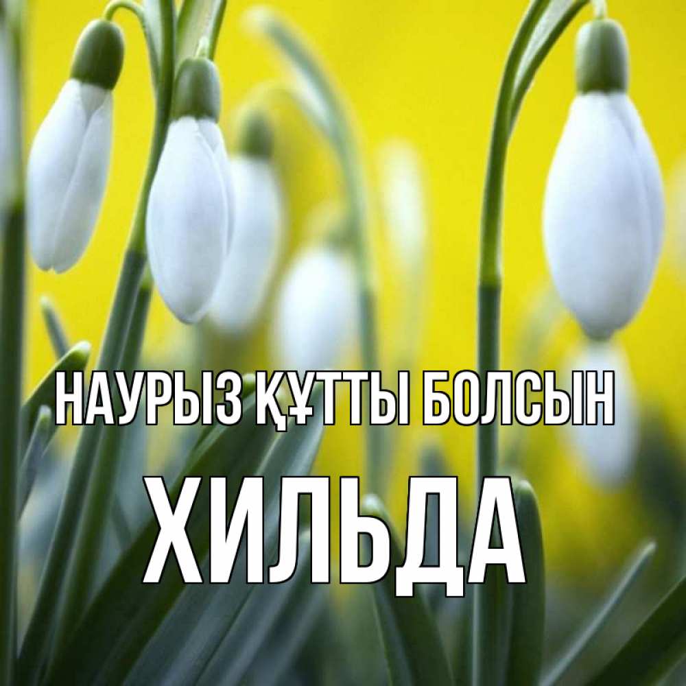 Открытка на каждый день с именем, Хильда Наурыз құтты болсын весенние цветы Прикольная открытка с пожеланием онлайн скачать бесплатно 