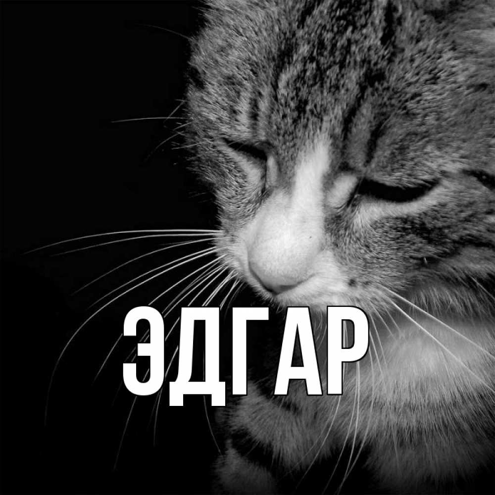 Открытка на каждый день с именем, Эдгар Главная мне скучно Прикольная открытка с пожеланием онлайн скачать бесплатно 