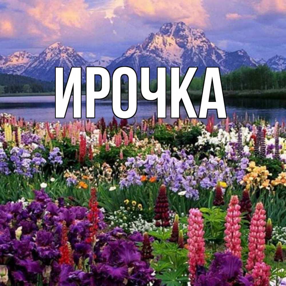 Открытка на каждый день с именем, ирочка Главная международный женский день Прикольная открытка с пожеланием онлайн скачать бесплатно 