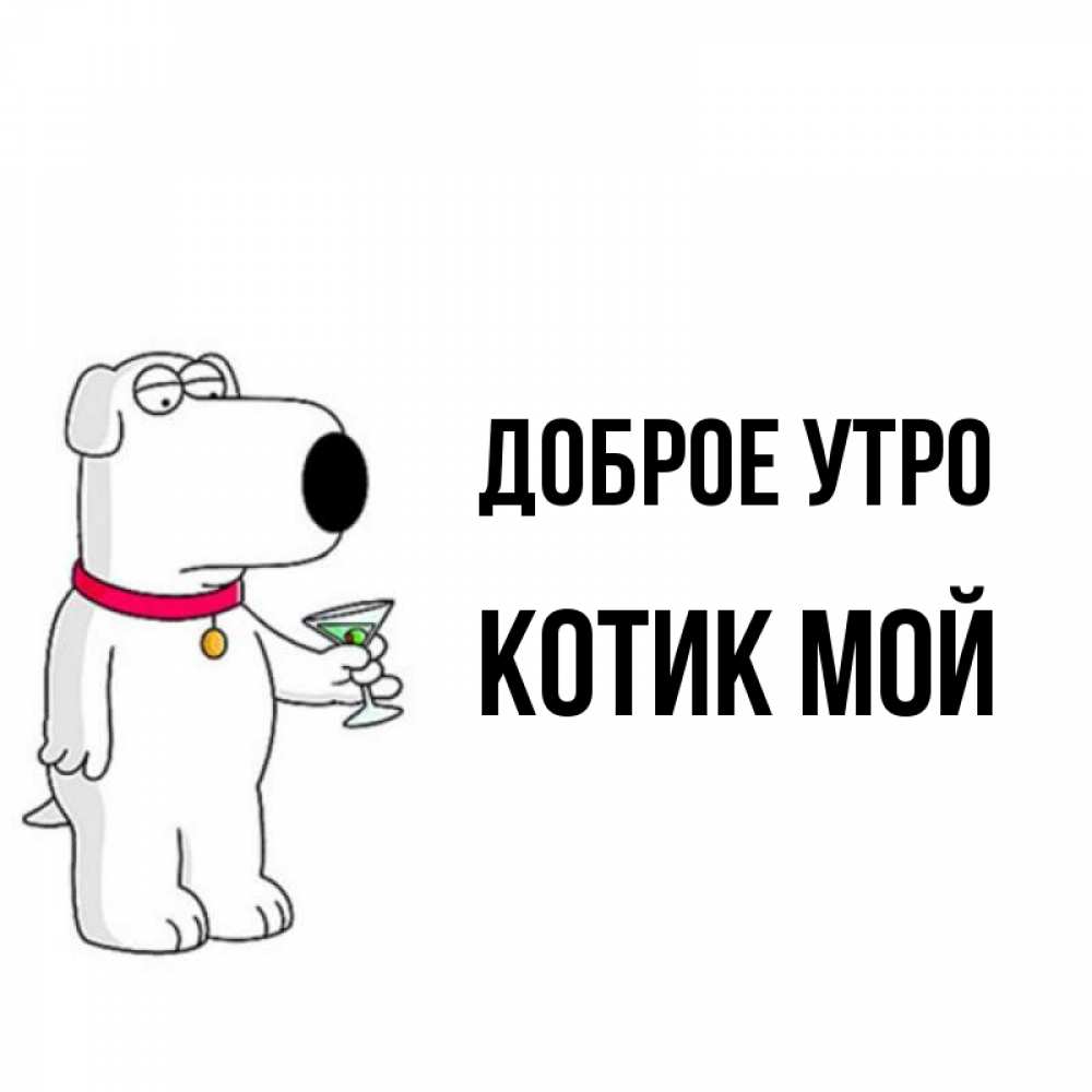 Открытка на каждый день с именем, котик-мой Доброе утро герои мультфильмов белый пес Прикольная открытка с пожеланием онлайн скачать бесплатно 