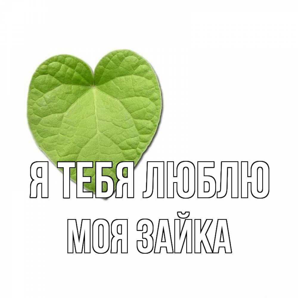 Открытка на каждый день с именем, моя-зайка Я тебя люблю тебе Прикольная открытка с пожеланием онлайн скачать бесплатно 