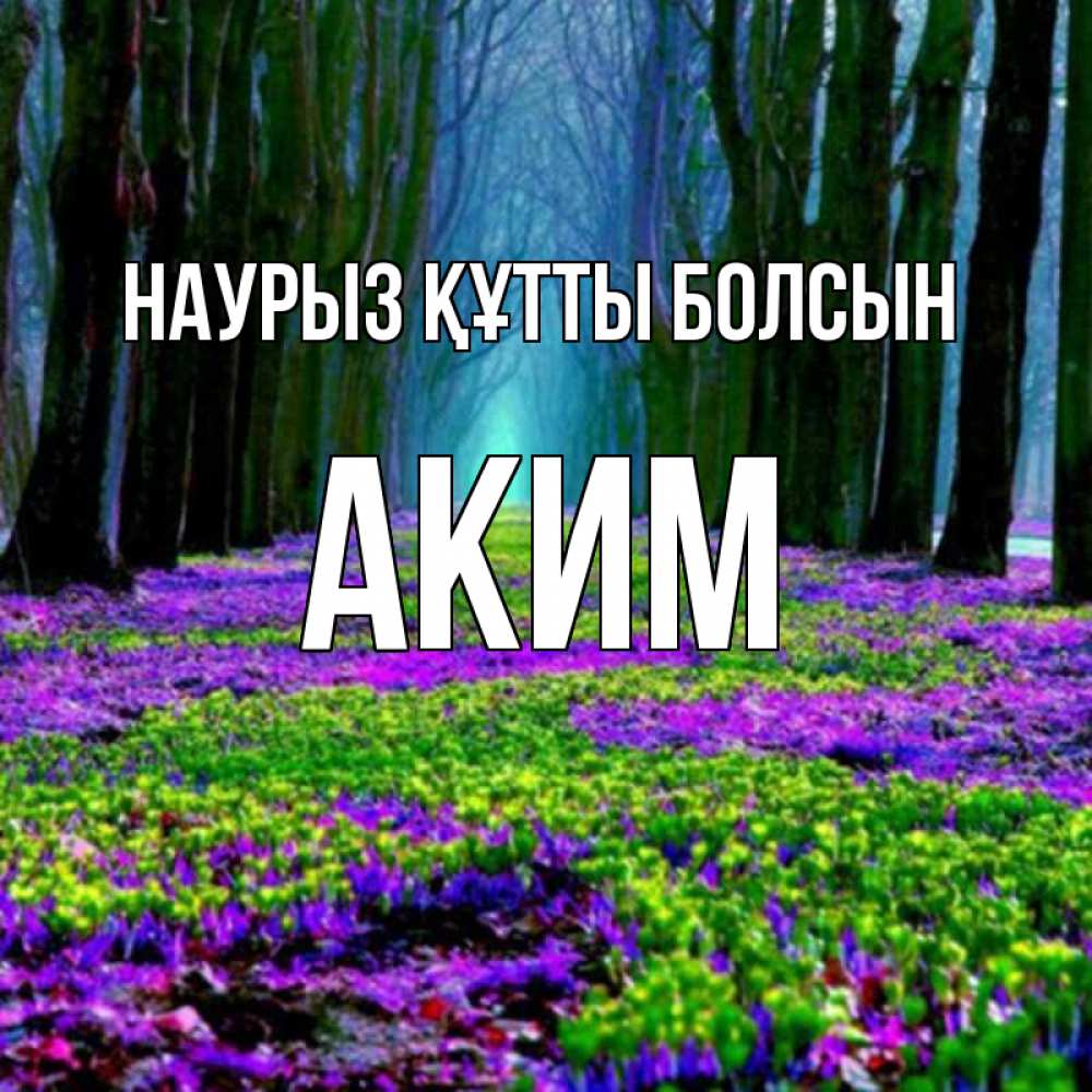 Открытка на каждый день с именем, Аким Наурыз құтты болсын фиолетовые цветы в лесу 1 Прикольная открытка с пожеланием онлайн скачать бесплатно 