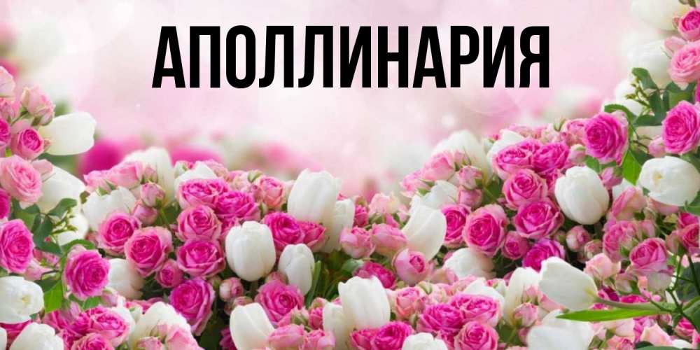 Открытка на каждый день с именем, Аполлинария Главная открытка с разными розами Прикольная открытка с пожеланием онлайн скачать бесплатно 
