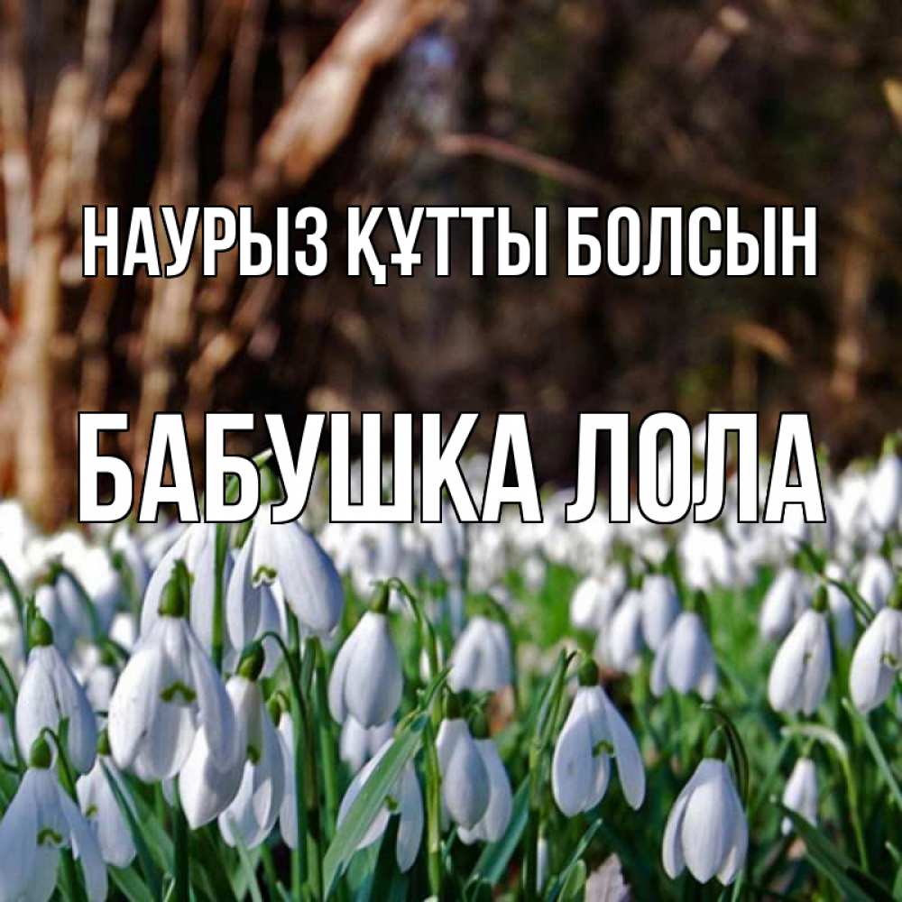 Открытка на каждый день с именем, Бабушка-Лола Наурыз құтты болсын с подснежниками 1 Прикольная открытка с пожеланием онлайн скачать бесплатно 