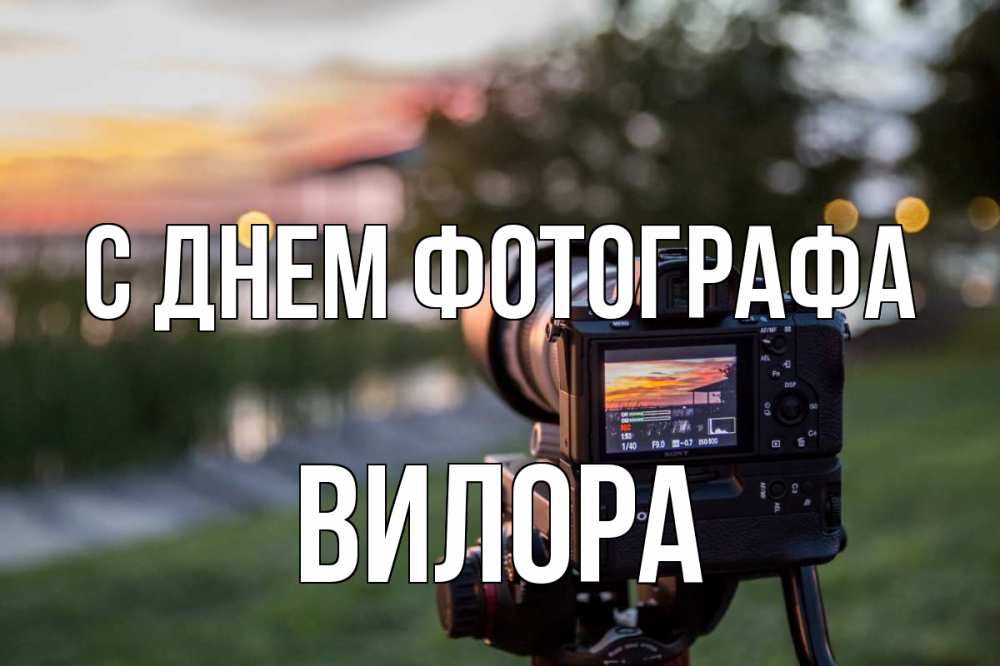 Открытка на каждый день с именем, Вилора С днем фотографа с днем фотографа Прикольная открытка с пожеланием онлайн скачать бесплатно 