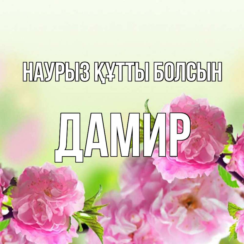 Открытка на каждый день с именем, Дамир Наурыз құтты болсын цветы Прикольная открытка с пожеланием онлайн скачать бесплатно 