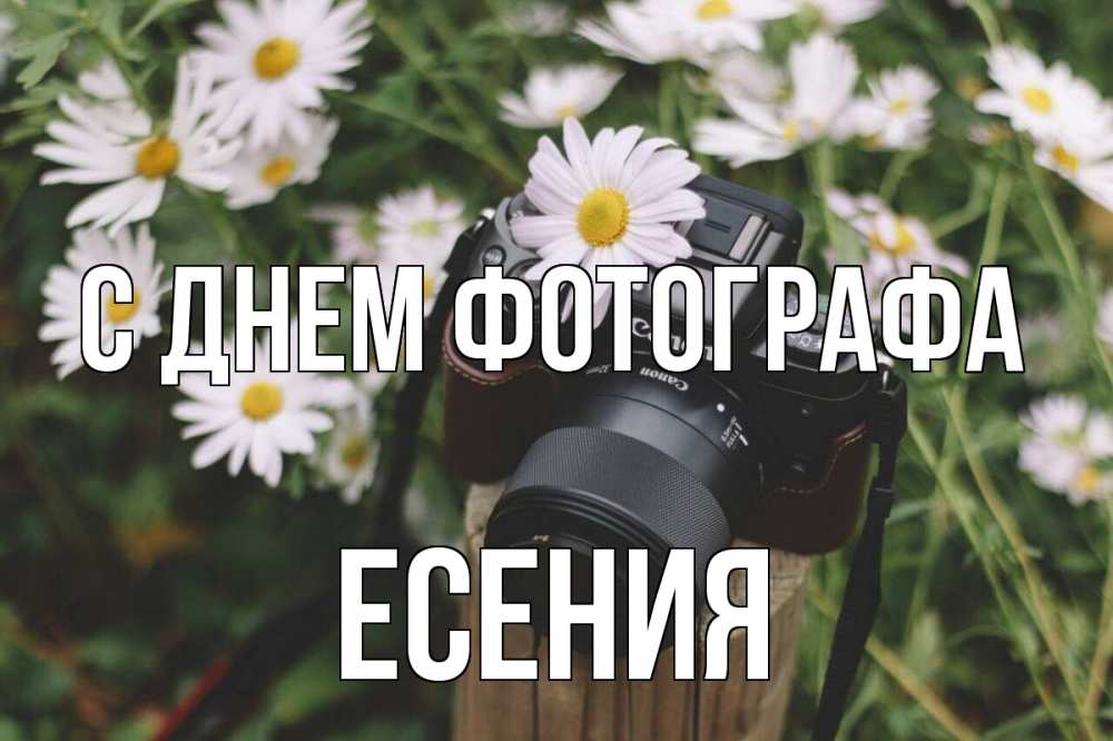 Открытка на каждый день с именем, Есения С днем фотографа с днем фотографа Прикольная открытка с пожеланием онлайн скачать бесплатно 