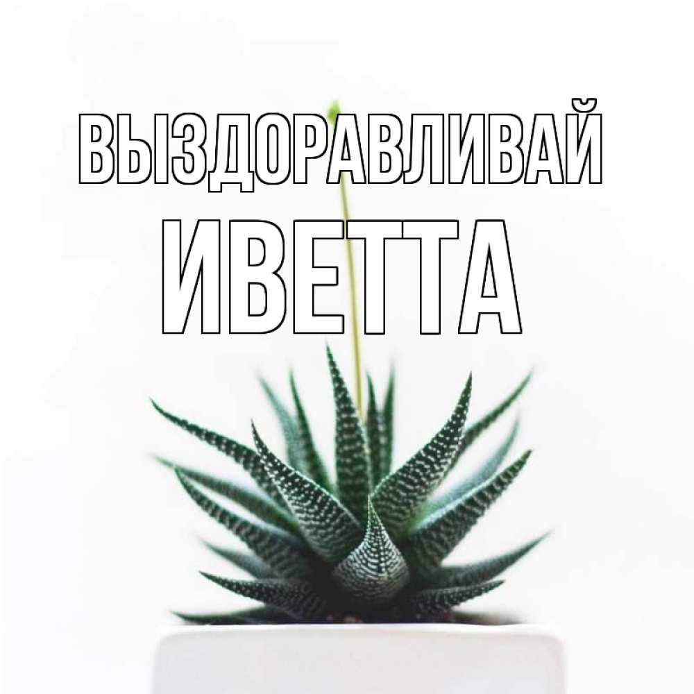 Открытка на каждый день с именем, Иветта Выздоравливай короче это непонятная колючка Прикольная открытка с пожеланием онлайн скачать бесплатно 