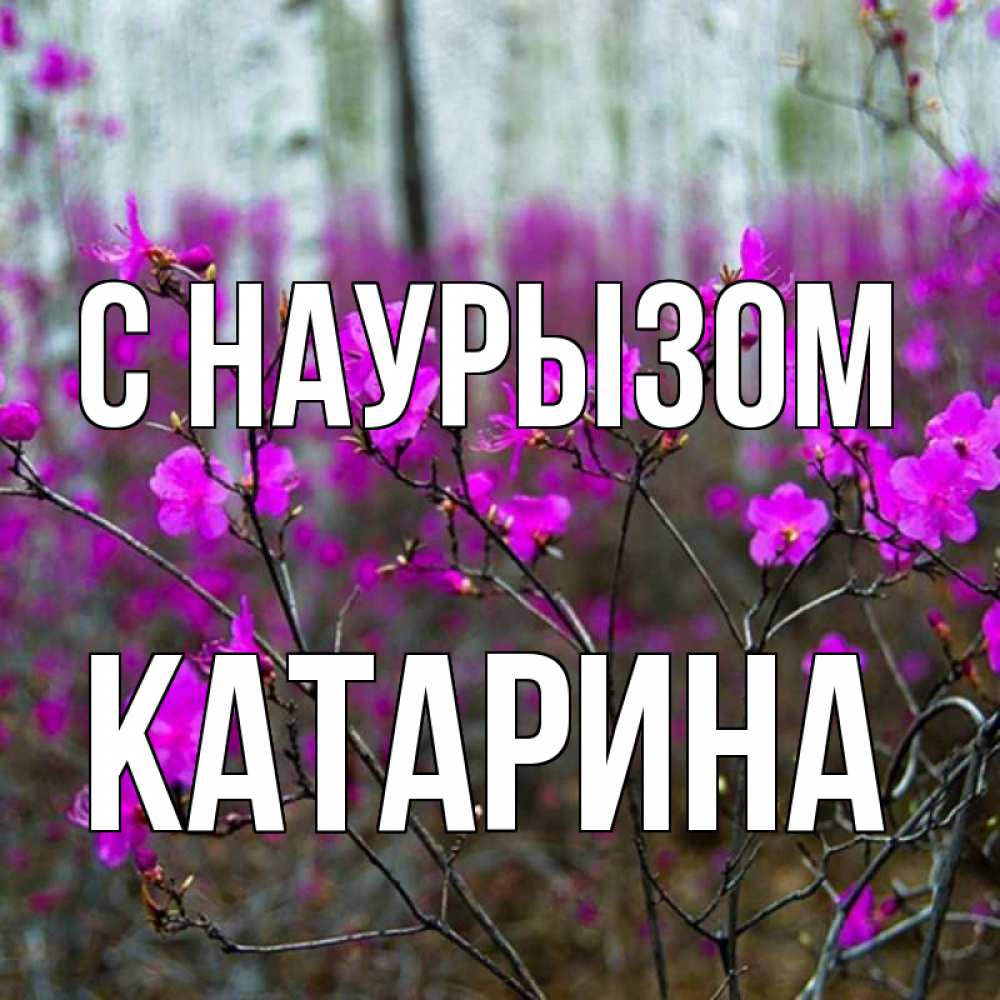 Открытка на каждый день с именем, Катарина С наурызом дикие цветы Прикольная открытка с пожеланием онлайн скачать бесплатно 