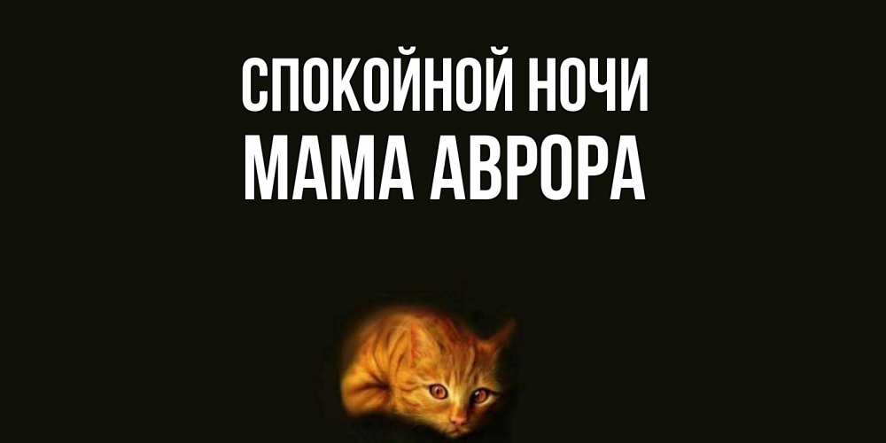 Открытка на каждый день с именем, Мама-Аврора Спокойной ночи кот Прикольная открытка с пожеланием онлайн скачать бесплатно 