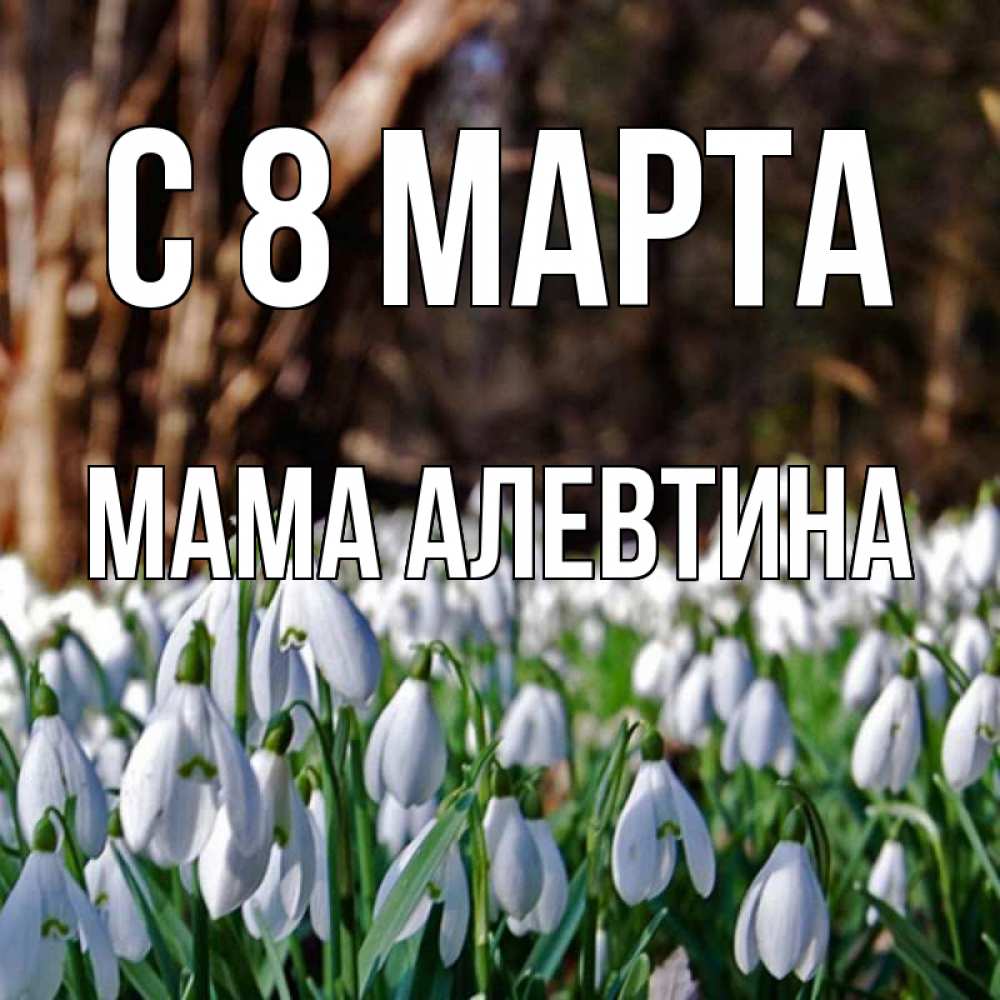 Открытка на каждый день с именем, Мама-Алевтина С 8 МАРТА с подснежниками 1 Прикольная открытка с пожеланием онлайн скачать бесплатно 