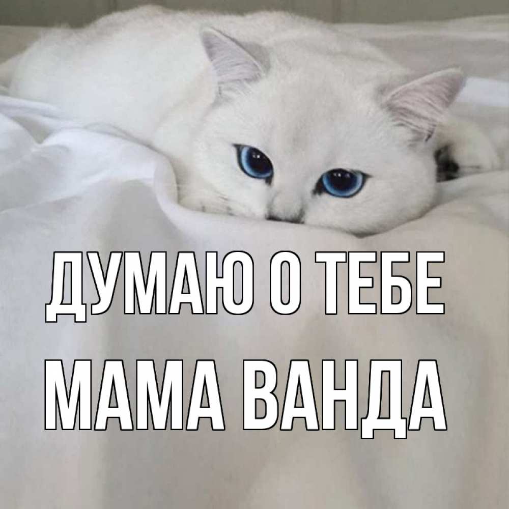 Открытка на каждый день с именем, Мама-Ванда Думаю о тебе я очень по тебе скучаю и тоскую Прикольная открытка с пожеланием онлайн скачать бесплатно 