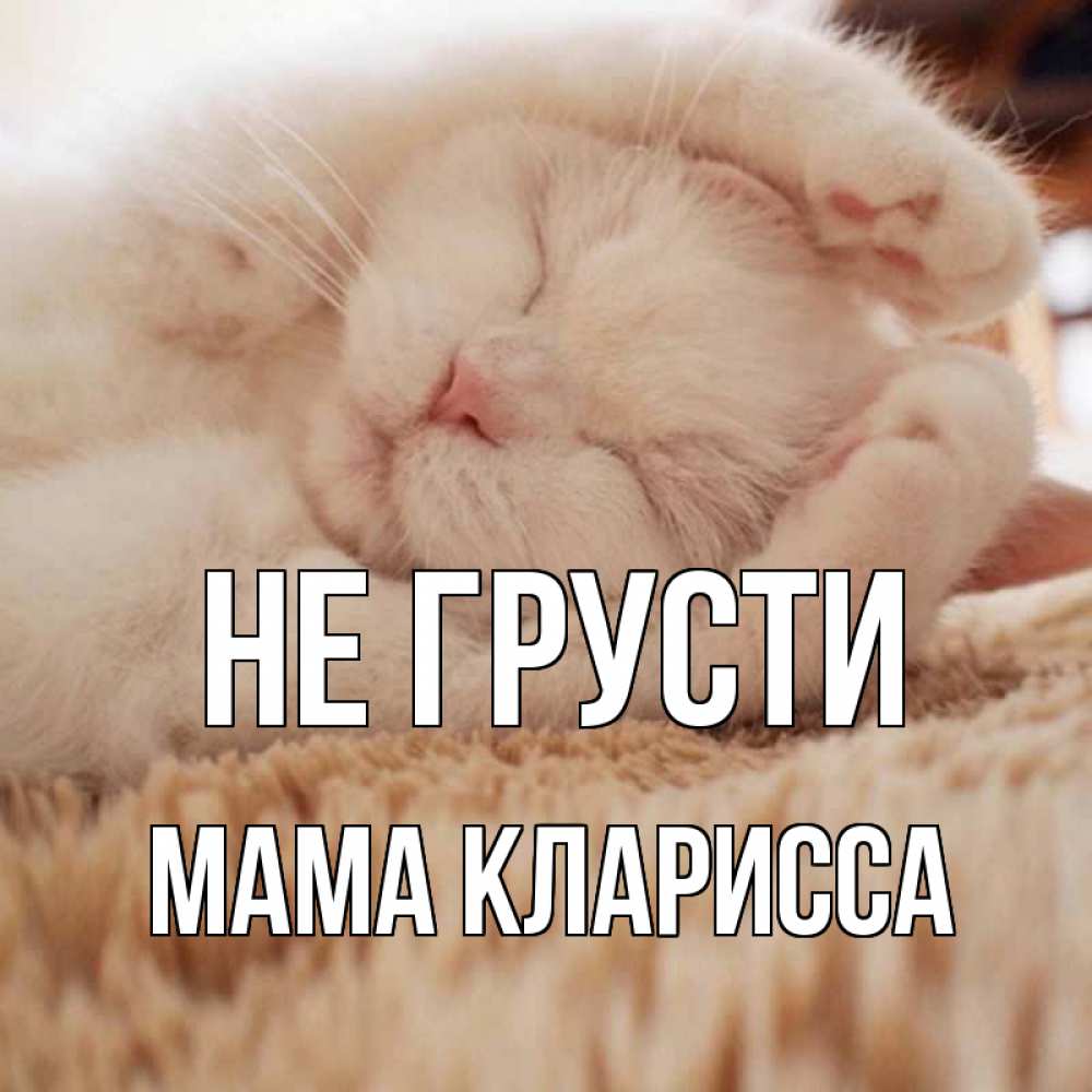 Открытка на каждый день с именем, Мама-Кларисса Не грусти белый кот Прикольная открытка с пожеланием онлайн скачать бесплатно 