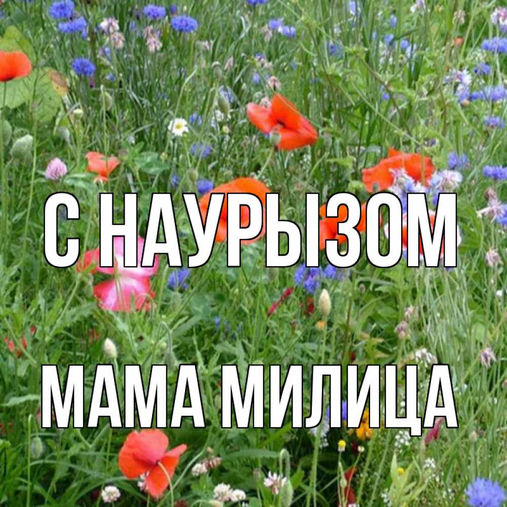Открытка на каждый день с именем, Мама-Милица С наурызом праздник весны наурыз супер открытка Прикольная открытка с пожеланием онлайн скачать бесплатно 
