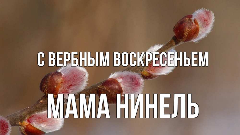 Открытка на каждый день с именем, Мама-Нинель С вербным воскресеньем верба Прикольная открытка с пожеланием онлайн скачать бесплатно 