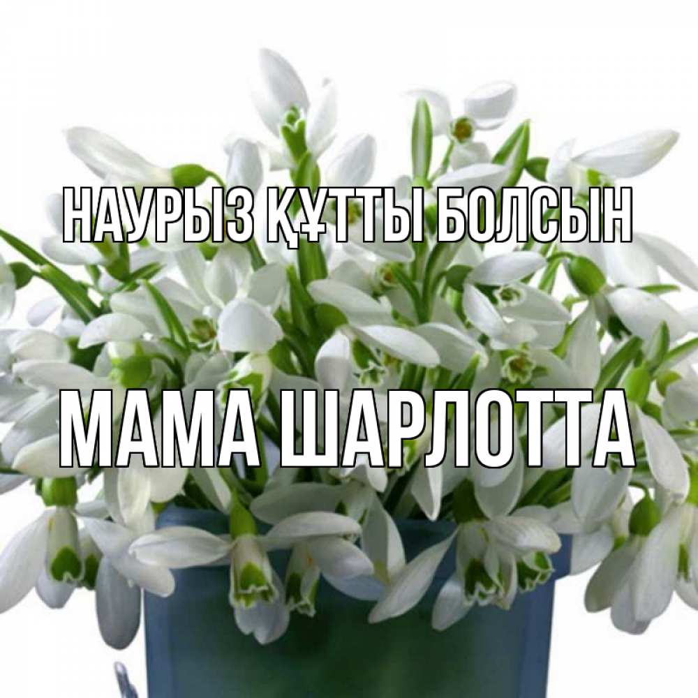 Открытка на каждый день с именем, Мама-Шарлотта Наурыз құтты болсын цветы к наурызу Прикольная открытка с пожеланием онлайн скачать бесплатно 