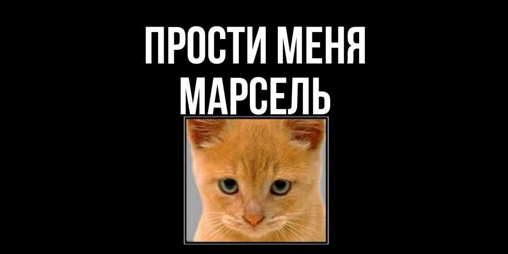 Открытка на каждый день с именем, Марсель Прости меня рыжий грустный кот просит прощения Прикольная открытка с пожеланием онлайн скачать бесплатно 