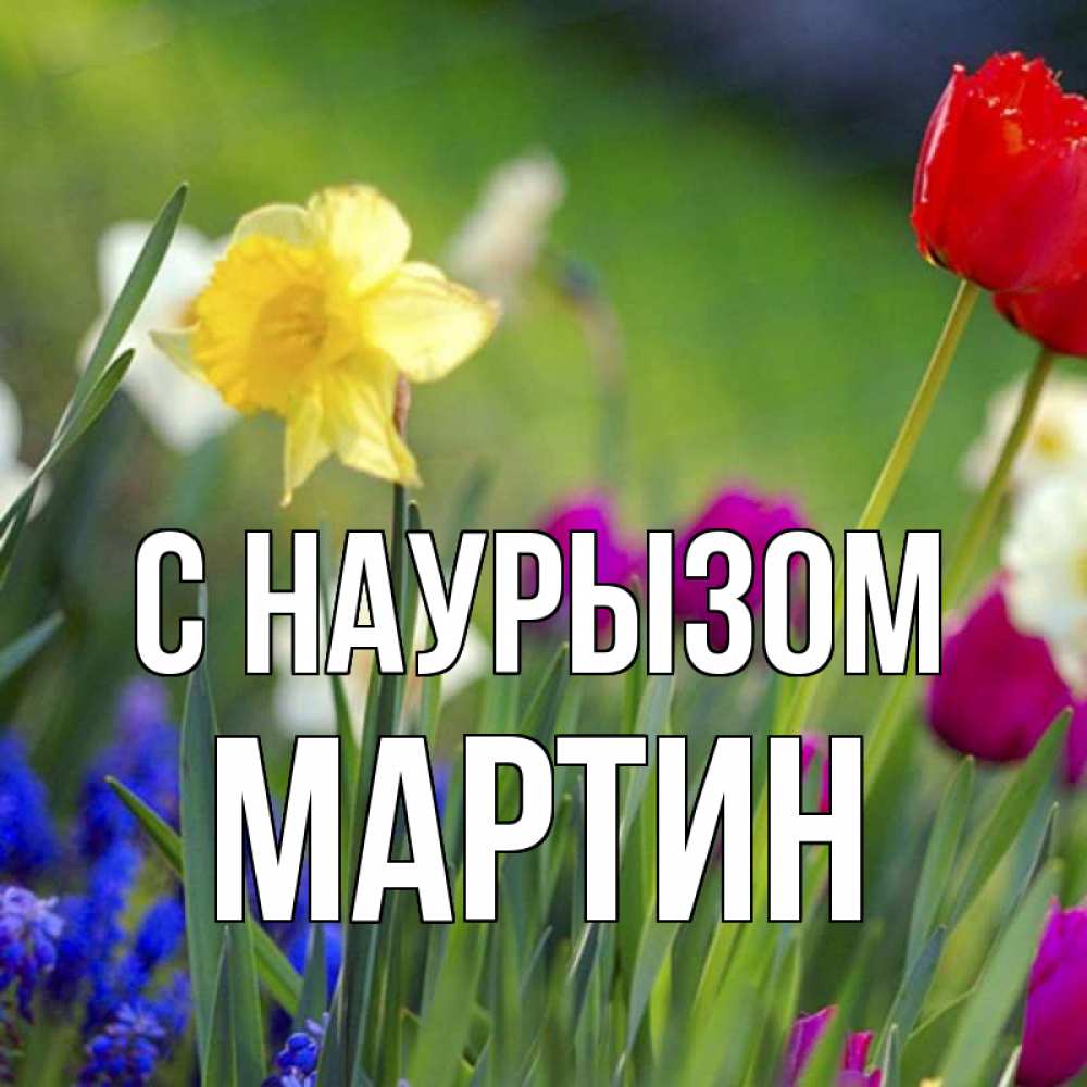 Открытка на каждый день с именем, Мартин С наурызом праздник весны наурыз 3 Прикольная открытка с пожеланием онлайн скачать бесплатно 