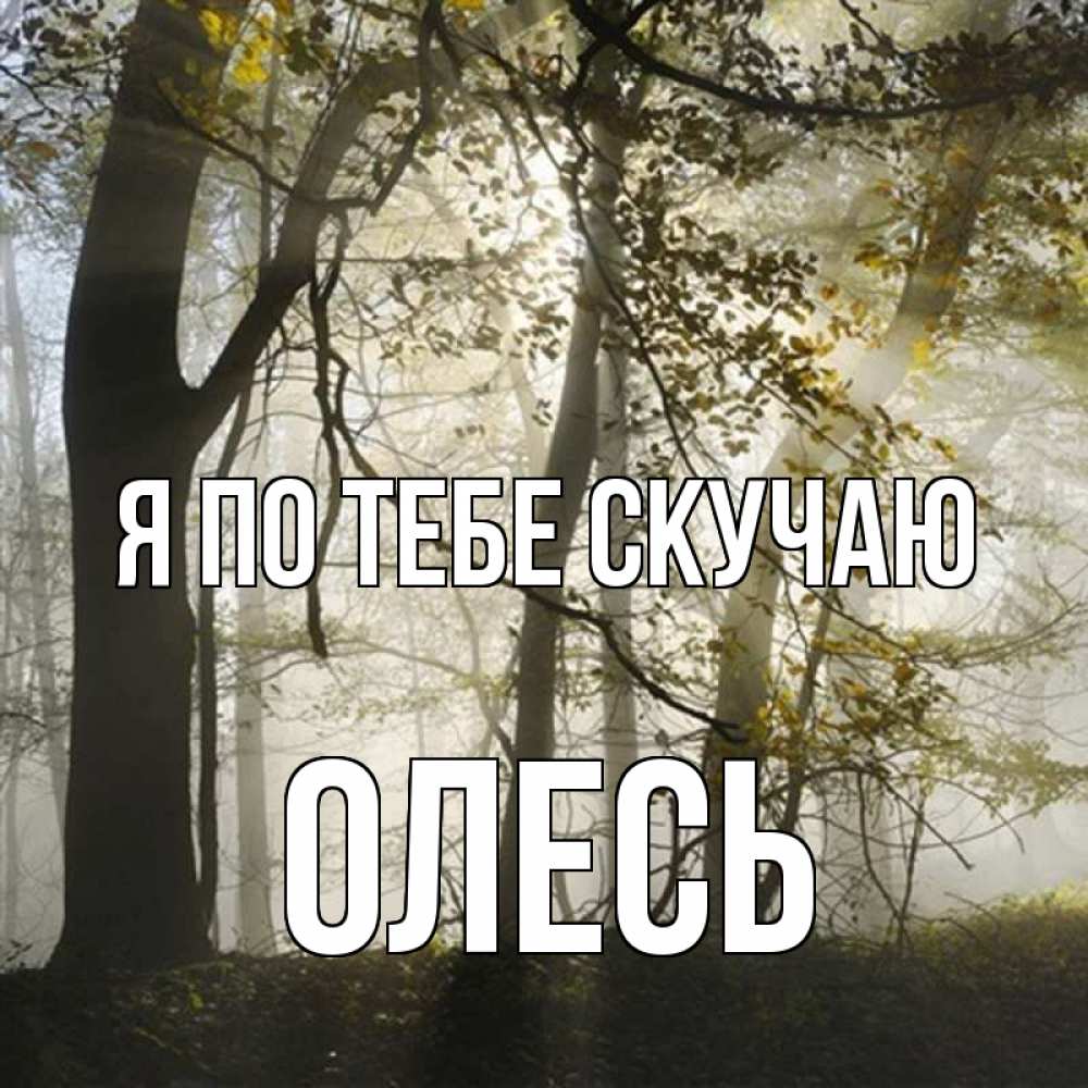 Открытка на каждый день с именем, Олесь Я по тебе скучаю грустно Прикольная открытка с пожеланием онлайн скачать бесплатно 