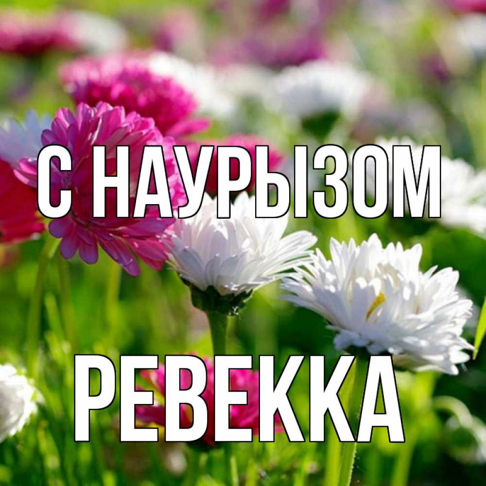 Открытка на каждый день с именем, Ревекка С наурызом праздник весны наурыз красота Прикольная открытка с пожеланием онлайн скачать бесплатно 