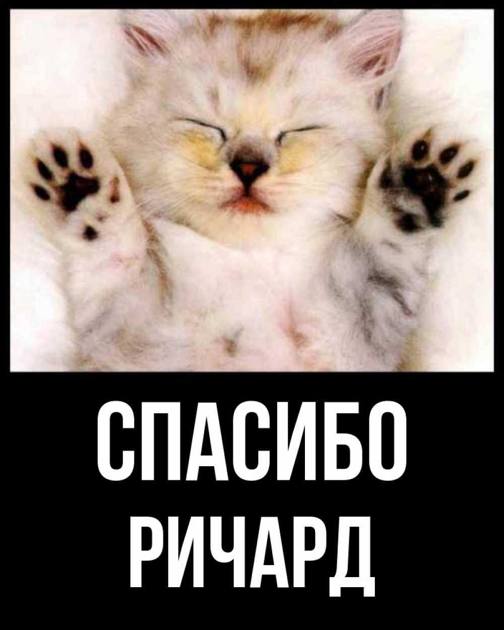 Открытка на каждый день с именем, Ричард Спасибо маленький котенок Прикольная открытка с пожеланием онлайн скачать бесплатно 