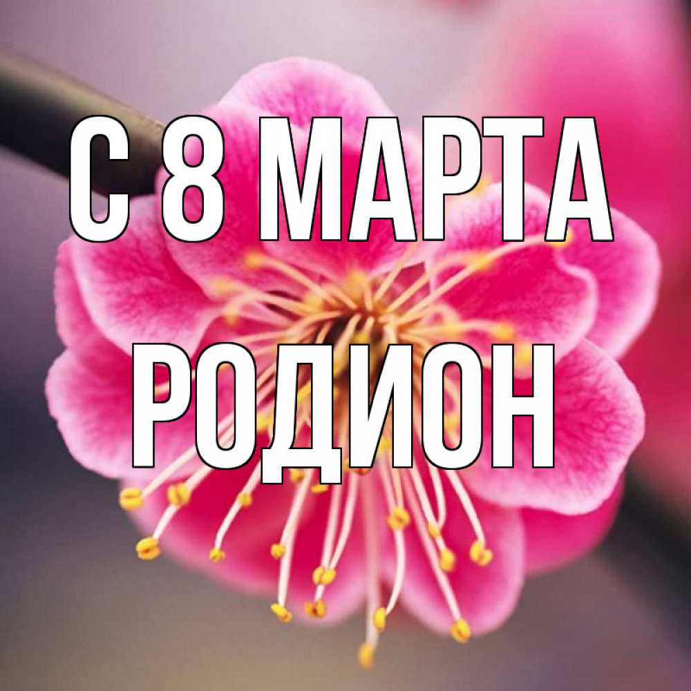 Открытка на каждый день с именем, Родион С 8 МАРТА цветы Прикольная открытка с пожеланием онлайн скачать бесплатно 