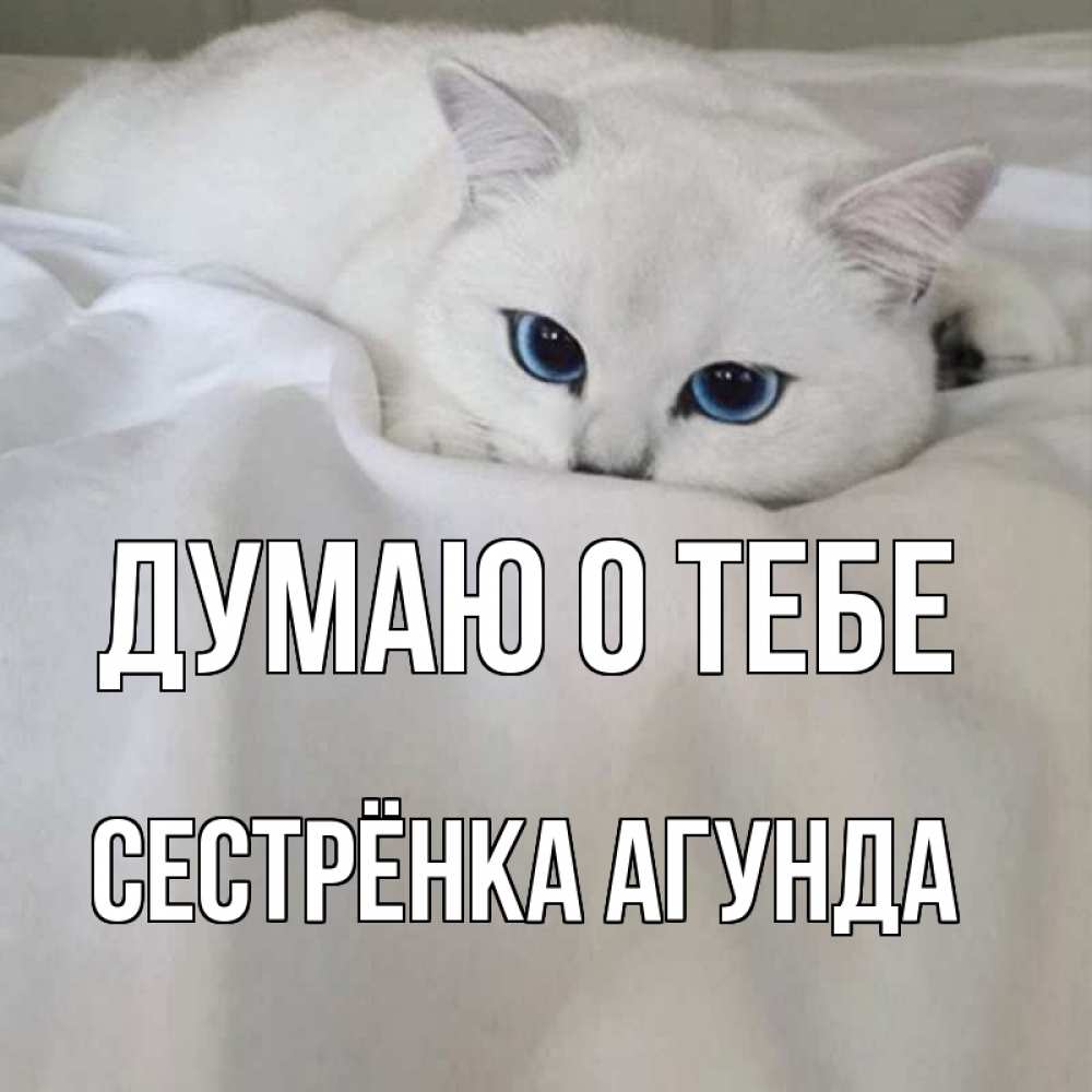 Открытка на каждый день с именем, Сестрёнка-Агунда Думаю о тебе я очень по тебе скучаю и тоскую Прикольная открытка с пожеланием онлайн скачать бесплатно 