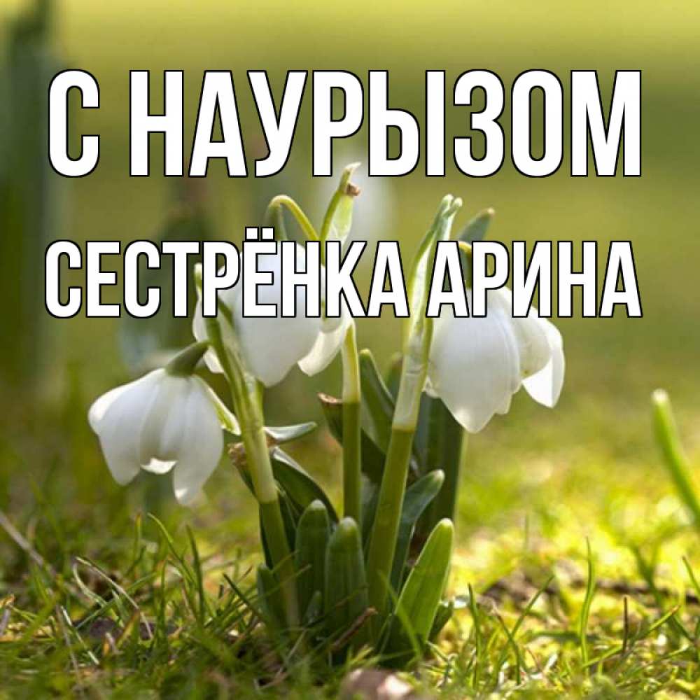 Открытка на каждый день с именем, Сестрёнка-Арина С наурызом ранние цветы 2 Прикольная открытка с пожеланием онлайн скачать бесплатно 