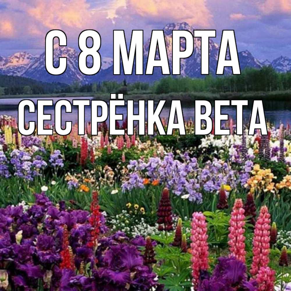 Открытка на каждый день с именем, Сестрёнка-Вета С 8 марта международный женский день Прикольная открытка с пожеланием онлайн скачать бесплатно 