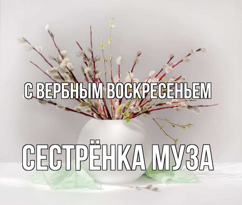 Открытка на каждый день с именем, Сестрёнка-Муза С вербным воскресеньем верба Прикольная открытка с пожеланием онлайн скачать бесплатно 