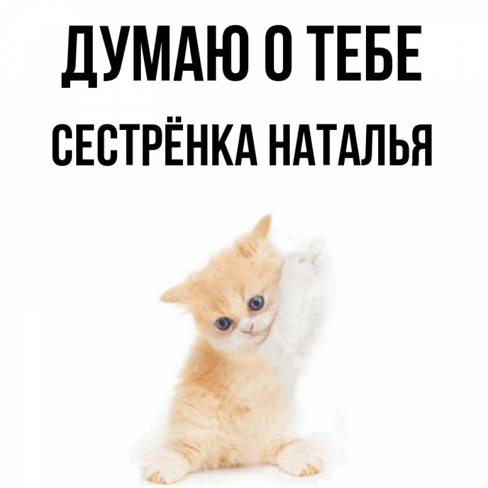Открытка на каждый день с именем, Сестрёнка-Наталья Думаю о тебе зверушки и милота Прикольная открытка с пожеланием онлайн скачать бесплатно 