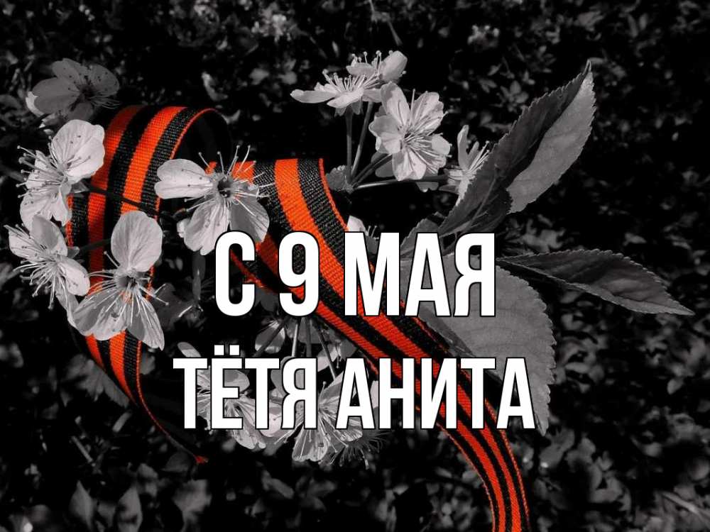 Открытка на каждый день с именем, Тётя-Анита С 9 мая 9 мая Прикольная открытка с пожеланием онлайн скачать бесплатно 
