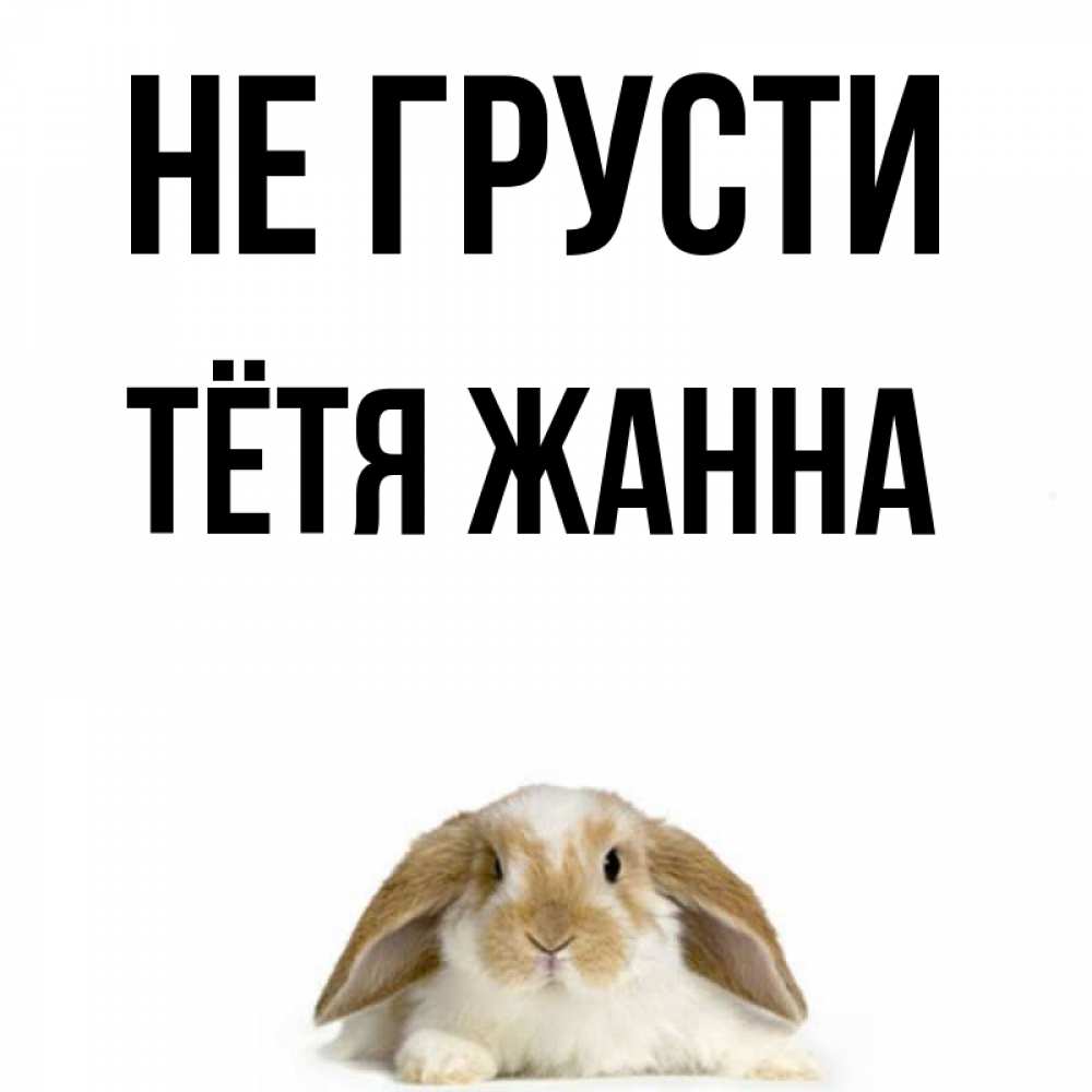 Открытка на каждый день с именем, Тётя-Жанна Не грусти коричнево белый заяц с большими ушками Прикольная открытка с пожеланием онлайн скачать бесплатно 