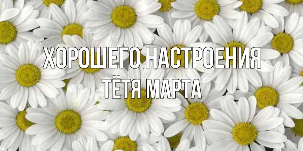 Открытка на каждый день с именем, Тётя-Марта Хорошего настроения поляна ромашек Прикольная открытка с пожеланием онлайн скачать бесплатно 