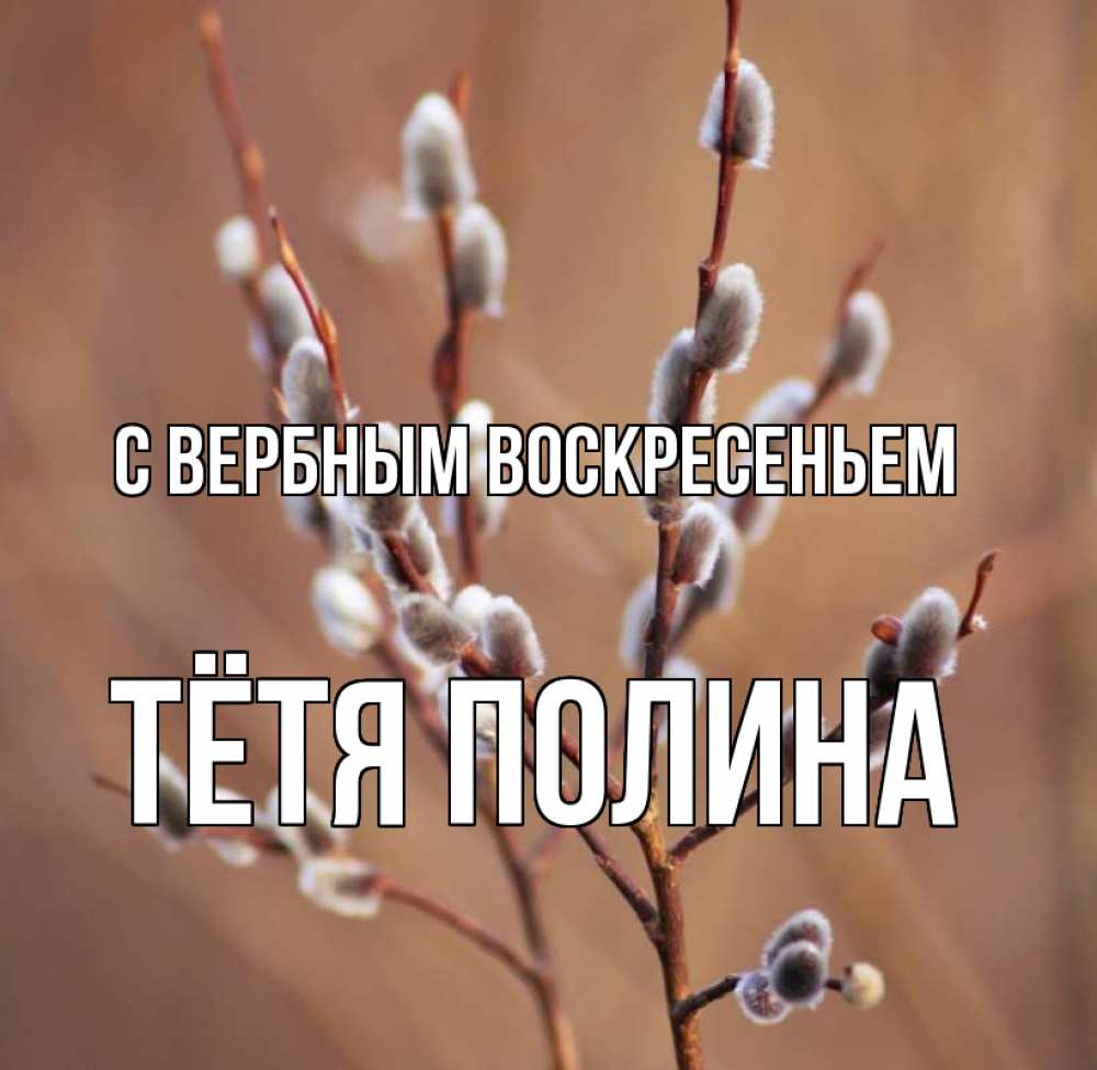 Открытка на каждый день с именем, Тётя-Полина С вербным воскресеньем верба Прикольная открытка с пожеланием онлайн скачать бесплатно 