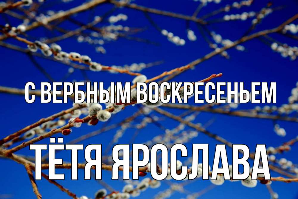 Открытка на каждый день с именем, Тётя-Ярослава С вербным воскресеньем верба Прикольная открытка с пожеланием онлайн скачать бесплатно 